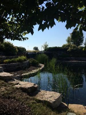 What a wonderful surprise to see this beautifully landscaped pond and waterfall at Midwest Retina on Taylor Station Rd.