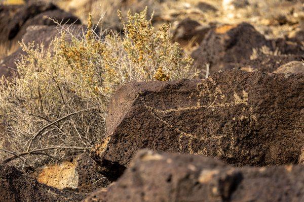 Petroglyph National Monument