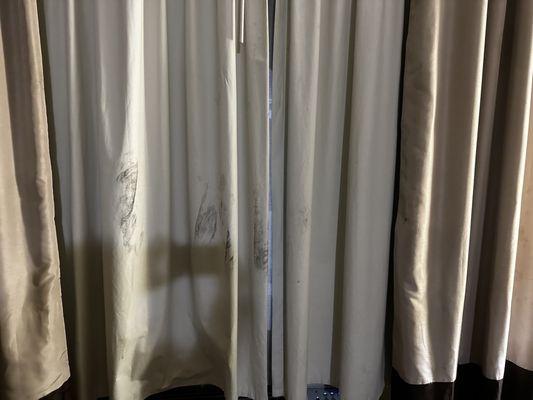 Black mold on curtain