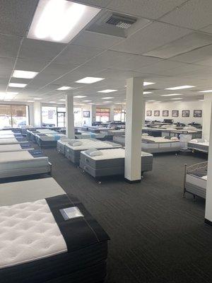 Ortho Mattress show room. So clean and beautiful