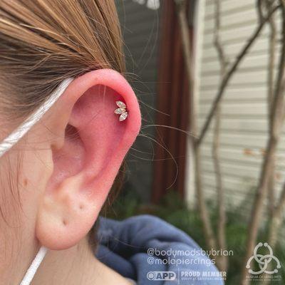 BVLA marquise fan in a cartilage piercing