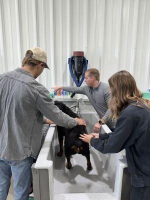 Colton and Staff are ready and willing to help when it comes to a DIY Wash!