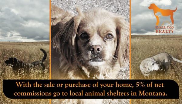 Small Dog Realty is a Community Partner with many Mt animal shelter,Gallatin Valley Land Trust,Give Big Gallatin Valley,more.