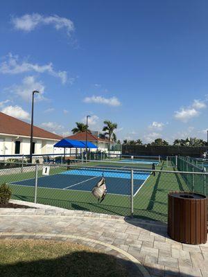 Pickleball courts