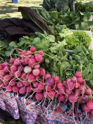 Organic veggies at the Kombucha vendor