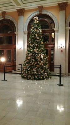 Beautiful tree in lobby. Happy Holidays!!