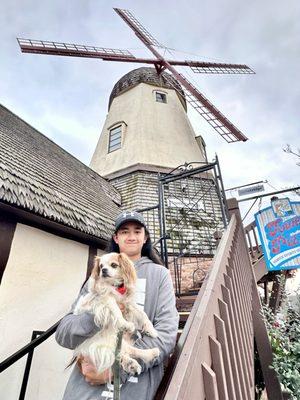 My son and our 17 years old dog Bambam at SOLVANG