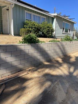 3 bushes under window and weeds that need to be sprayed