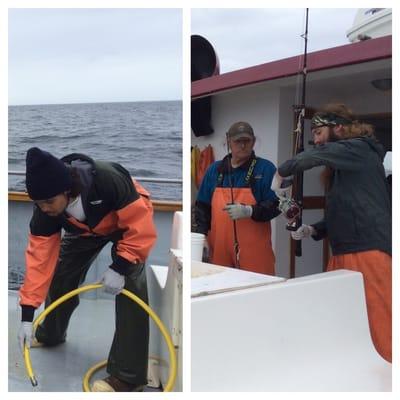 Homer, Alaska - Rainbow Tour Halibut Charter. This crew was extremely helpful really worked hard. Remember to tip your crew.