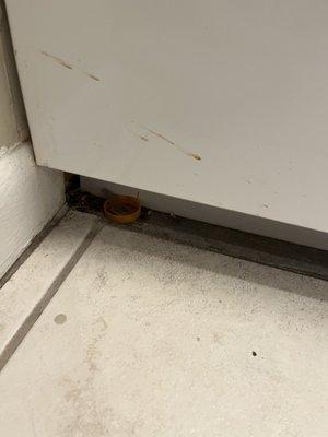 Dirty kitchen floor with stuff stuck under the cabinet