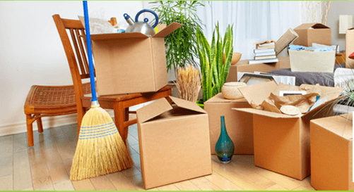 Professional Naples Cleaning