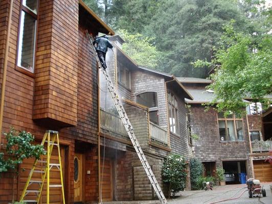 Old Mill Condos Mill Valley