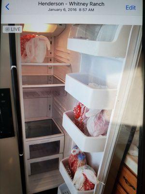 The food that went bad when I returned the next day. The fridge needed to be replaced it was ancient also.