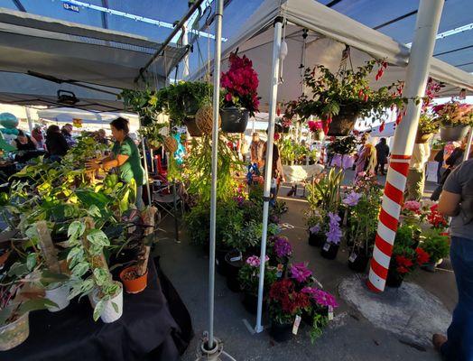 Vendors/ plants/merchandise