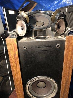 Everlast Speaker Repair