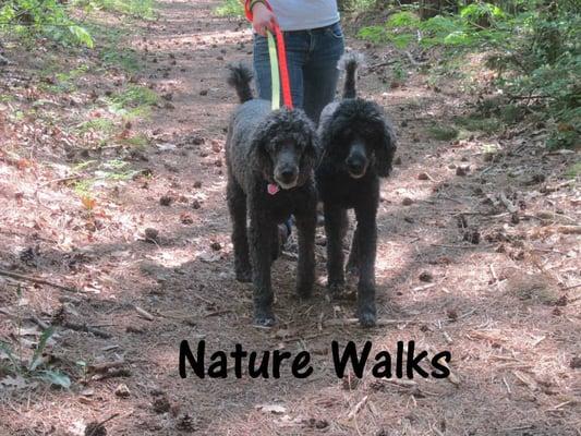 Nature Walks!