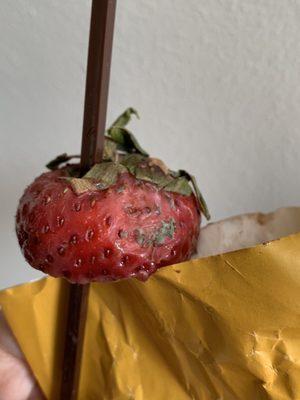 Molds on the last piece of chocolate covered strawberry banana kabob