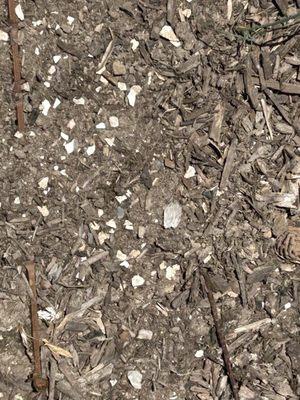 Cement chips left in an edible organic garden that was supposed to be protected.