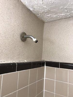 NO SHOWER HEAD !!