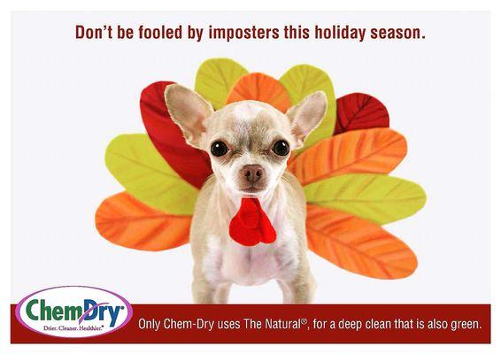 Moen Chem Dry...the Natural way to clean your home for the holidays!