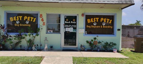 Dog daycare boarding and grooming