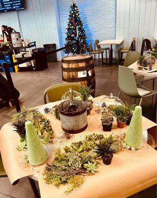 Terrarium creating event