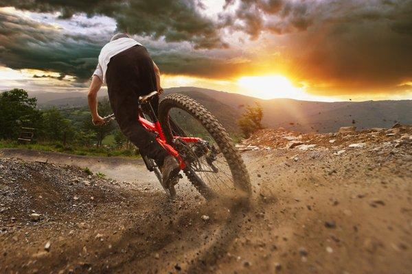 Gravity Mountain Bike Tours