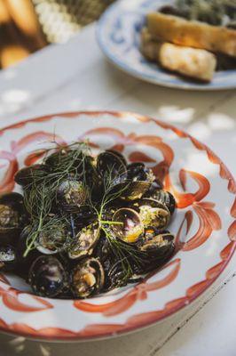 Calabrian Mussels