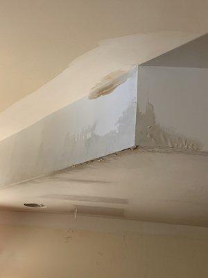 Ceiling leak in my bedroom