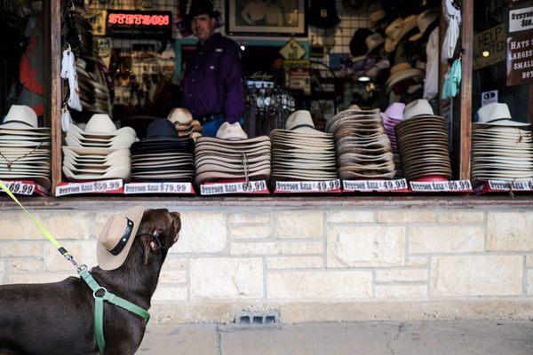 Ranger Milky selecting his next hat. Thanks Headquarters!