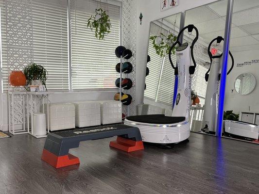 POWER PLATE PERSONAL TRAINING FOR WEIGHT LOSS AND THERAPY