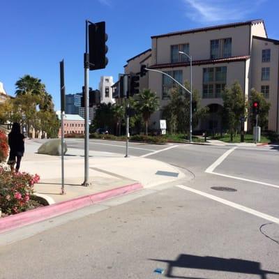 View of bus stop in front of Paseo