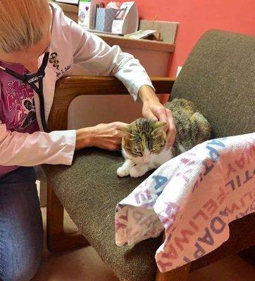 Dr. Bolduc examining a kitty!