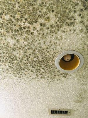 mold found on bathroom ceiling