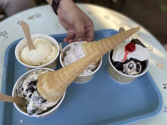 Different flavors of ice cream