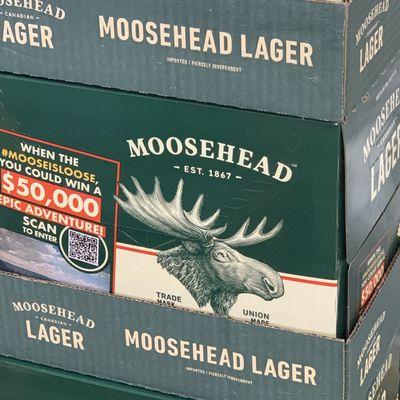 Moosehead Lager @ Beer Universe Coxsackie, NY