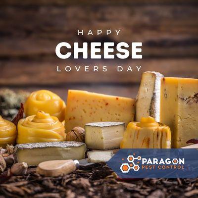 Remember, for all your pest control needs, Paragon Pest Control is here, ensuring that the only one enjoying your cheese is you!