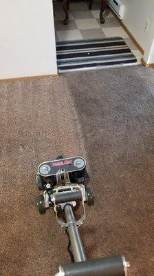 Carpet steam cleaning