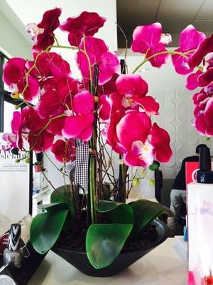 Naturally, a place named Orchid Spa has beautiful orchids!