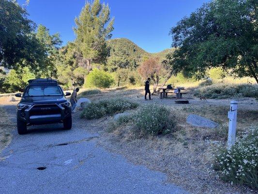 Site #4 - driveway can fit 2 vehicles. Plenty of space for tents and trees for shade