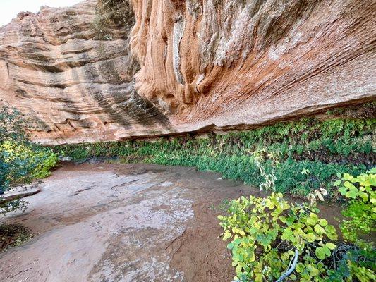 Hanging Gardens Trailhead