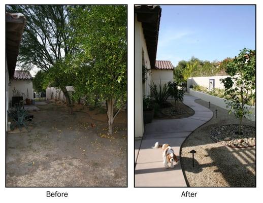 Sideyard Before & After