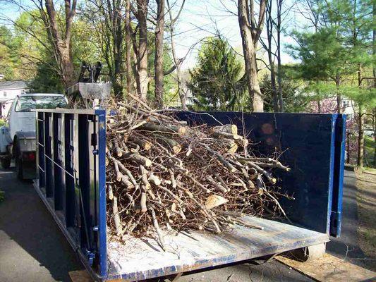 Yard Debris Removal