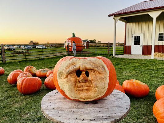 Heap's Giant Pumpkin Farm