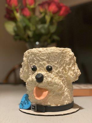 Bichon cake.