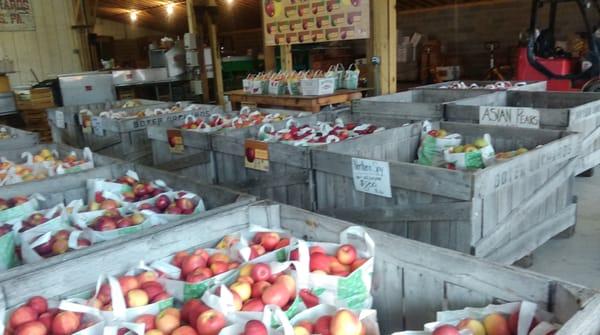 Apples at Boyer.