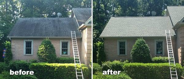 Non-pressure Roof Cleaning