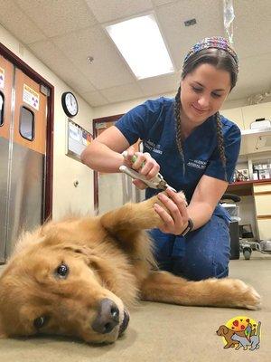 Billerica Veterinary Hospital