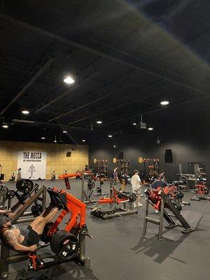 Golds Gym - Friendswood