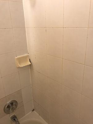 Black mold taking over the shower